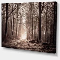 Designart - Forest Trail in Sepia