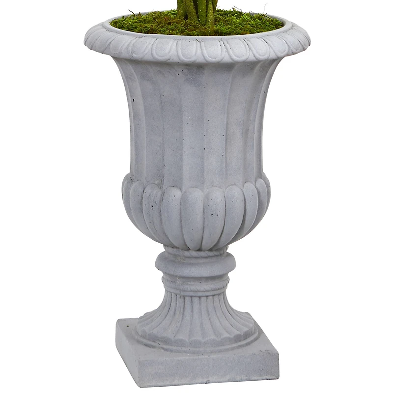 3ft. Braided Boxwood Topiary Tree in Gray Urn