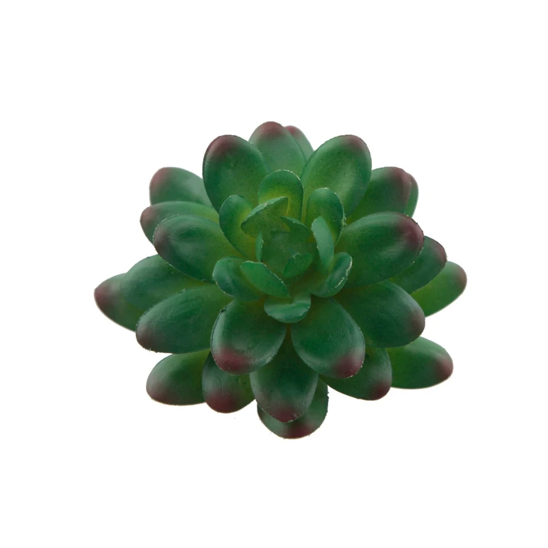 Flora Bunda® Stonecrop Succulent Pick, 12ct.