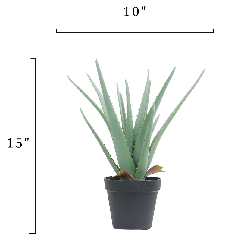 15" Potted Aloe Plant by Ashland®