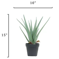 15" Potted Aloe Plant by Ashland®