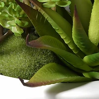7.5" Succulent Plants in White Planter