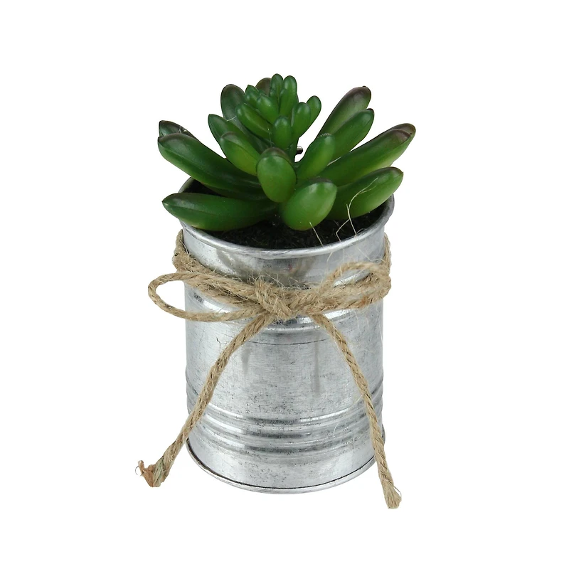 5" Green Mini Pachyveria Succulent in Tin Planter