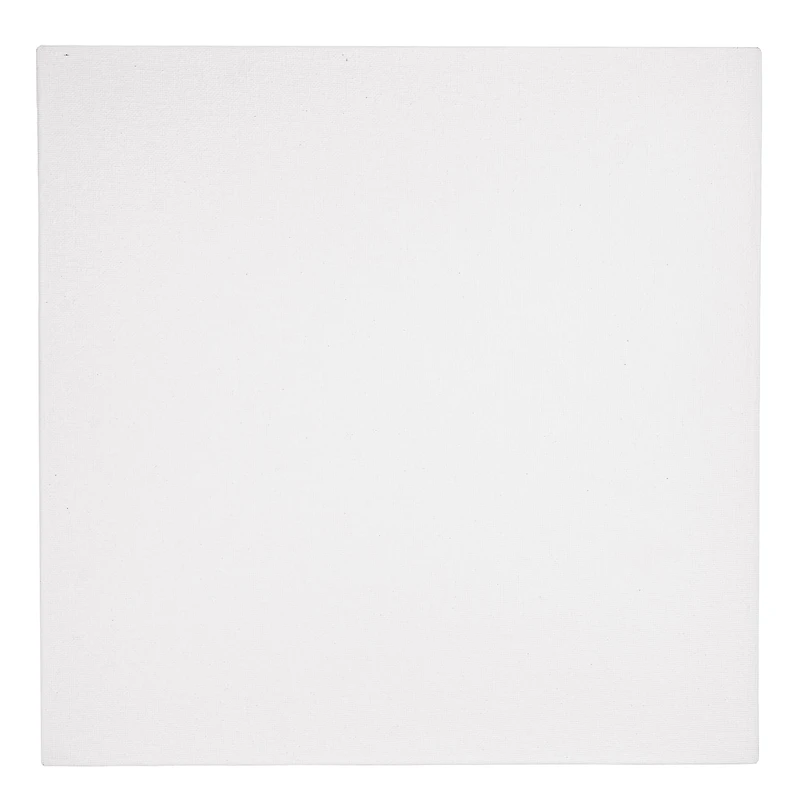 FREDRIX 12 Pack Artist Series Primed Canvas Panel