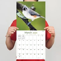 TF Publishing 2024 Backyard Birds Wall Calendar