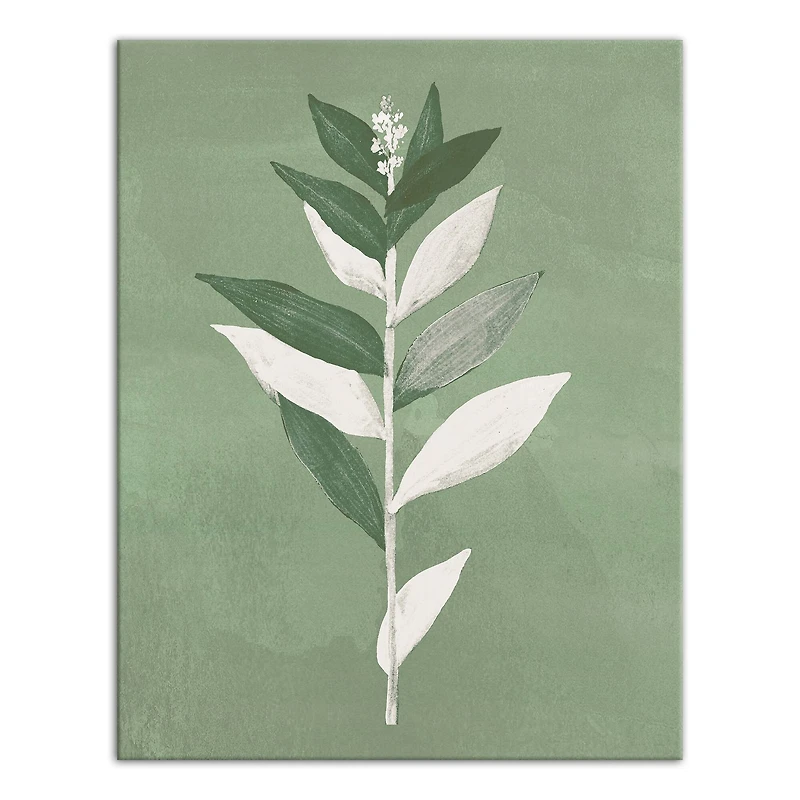Painted Sage Leaves 11" x 14" Canvas Wall Art
