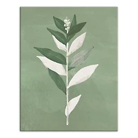 Painted Sage Leaves 11" x 14" Canvas Wall Art