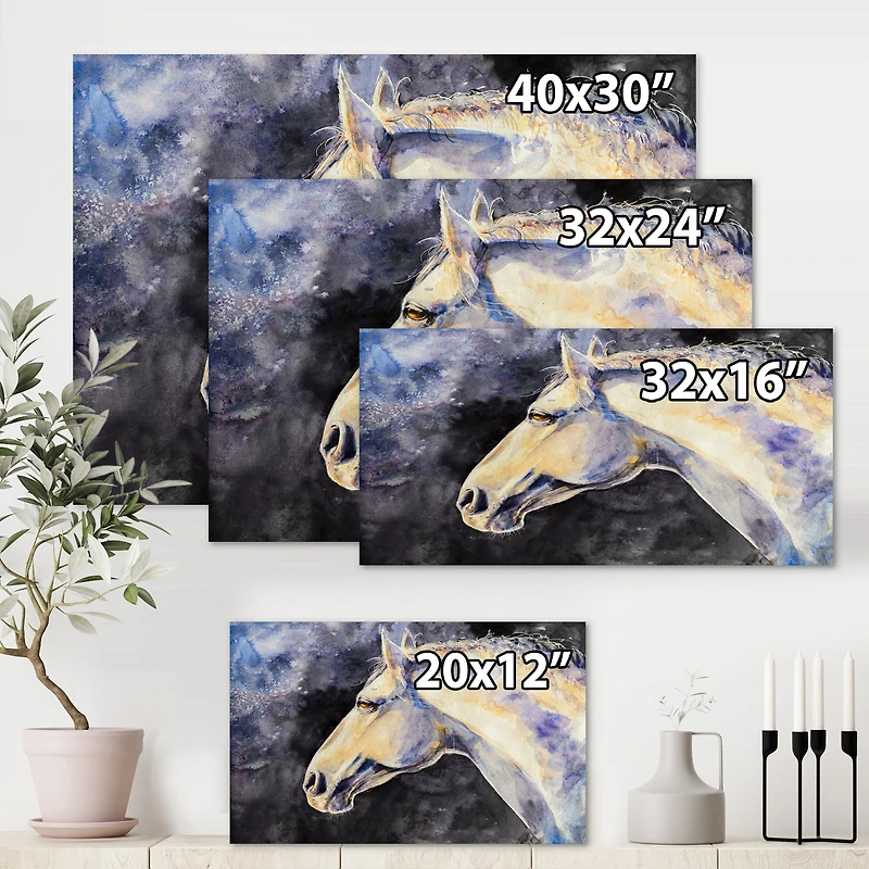 Designart - The Head of A Lipizzan Horse