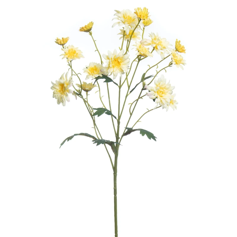 28.5" Wild Daisy Stem by Ashland