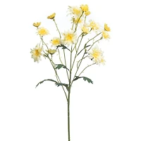 28.5" Wild Daisy Stem by Ashland