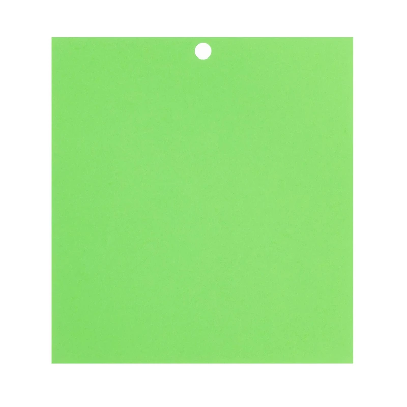 Feathered Green 6" x 6.5" Cardstock Paper by Recollections™, 100 Sheets