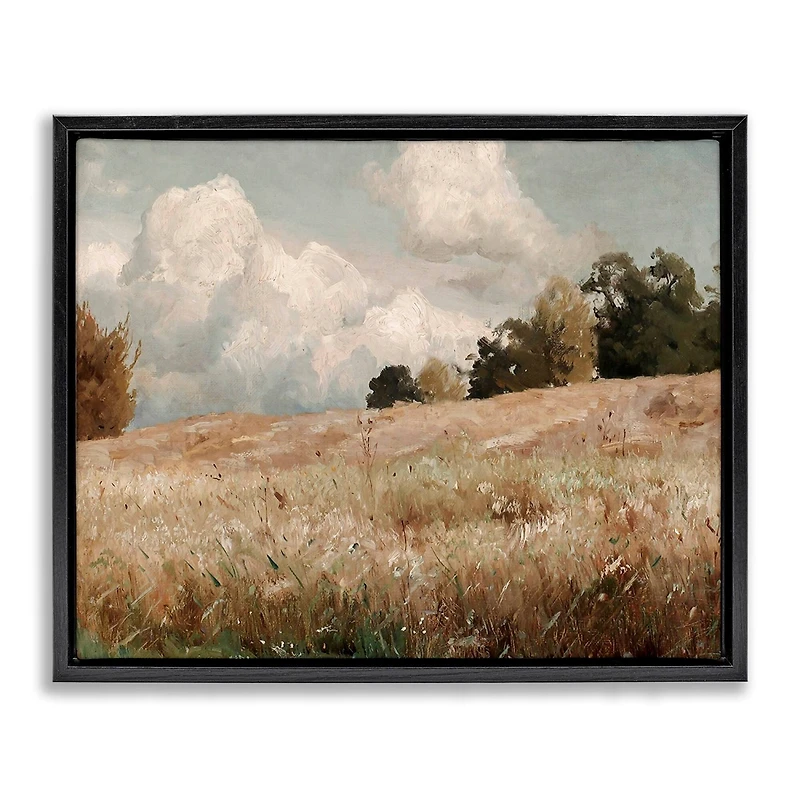 Stupell Industries Classic Cloudy Field Landscape Floater Framed Art