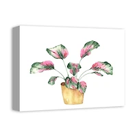 Coastal Beach Plant 16" x 12" Canvas Wall Art