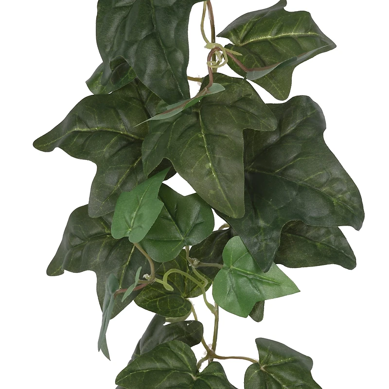 6ft. Green English Ivy Garland by Ashland®