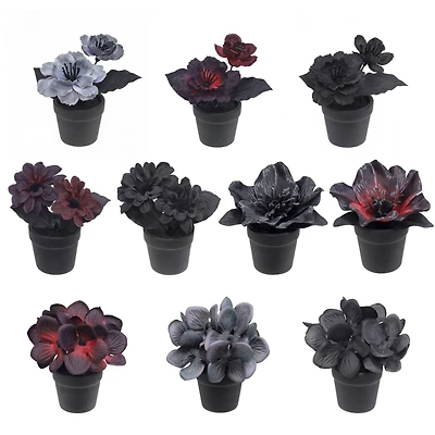 Assorted Mini Potted Floral Arrangement by Ashland®, 1pc.