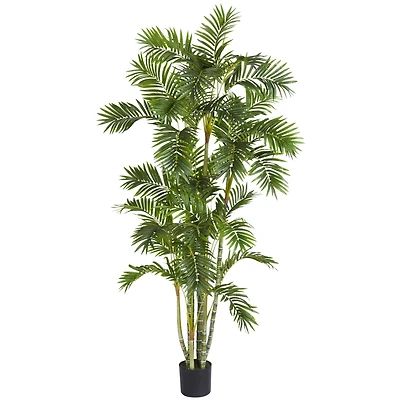6ft. Potted Areca Palm Silk Tree