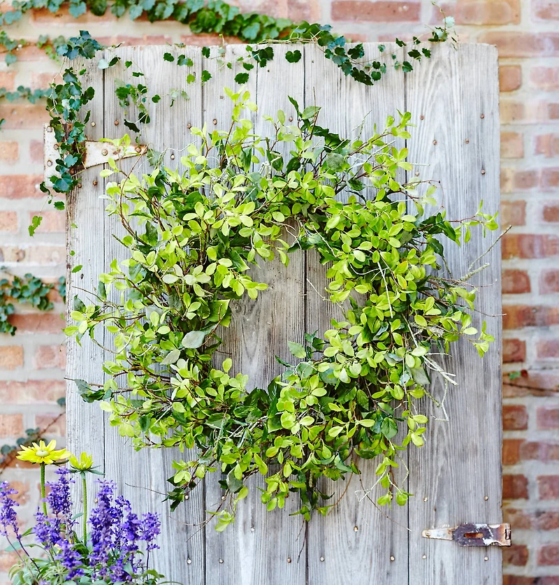 30" Green Oversized Mixed Foliage & Twig Wreath