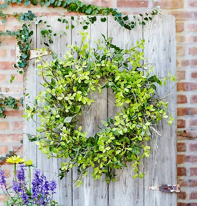 30" Green Oversized Mixed Foliage & Twig Wreath