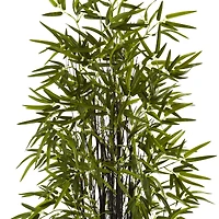 5ft. Potted Black Bamboo Tree