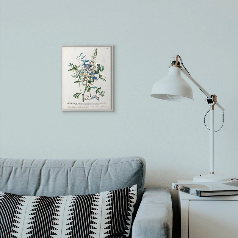 Stupell Industries Botanical Plant Illustration Wall Art in Gray Frame