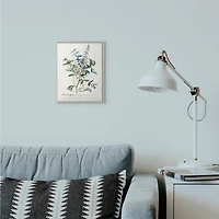 Stupell Industries Botanical Plant Illustration Wall Art in Gray Frame