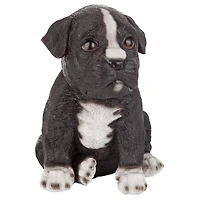 Design Toscano 6" Border Collie Puppy Partner Collectible Dog Statue