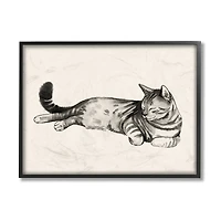 Stupell Industries Sleeping Striped Cat Minimal Relaxed Pet in Black Frame Wall Art