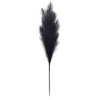 42" Black Pampas Grass Stem by Ashland®