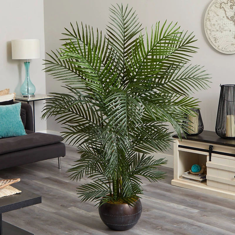5.5ft. Areca Palm Tree in Brown Planter