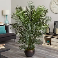 5.5ft. Areca Palm Tree in Brown Planter