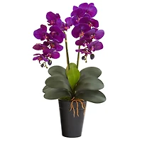 23" Double Orchid Arrangement In Vase