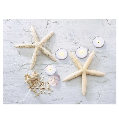 11.7" LED Lighted Starfish, Seashell, & Tea Light Candles Canvas Wall Art