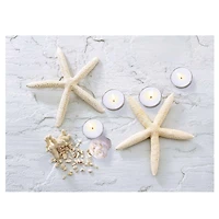 11.7" LED Lighted Starfish, Seashell, & Tea Light Candles Canvas Wall Art