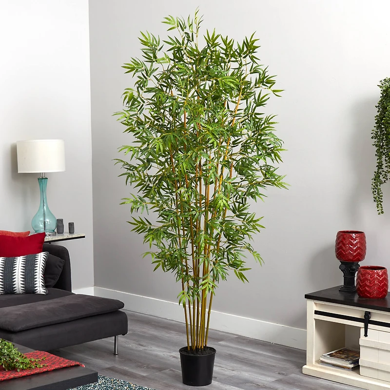 6ft. Potted Mini Bamboo Silk Tree