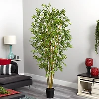 6ft. Potted Mini Bamboo Silk Tree