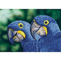 Diamond Dotz® Intermediate Blue Hyacinth Macaws Diamond Facet Art Kit