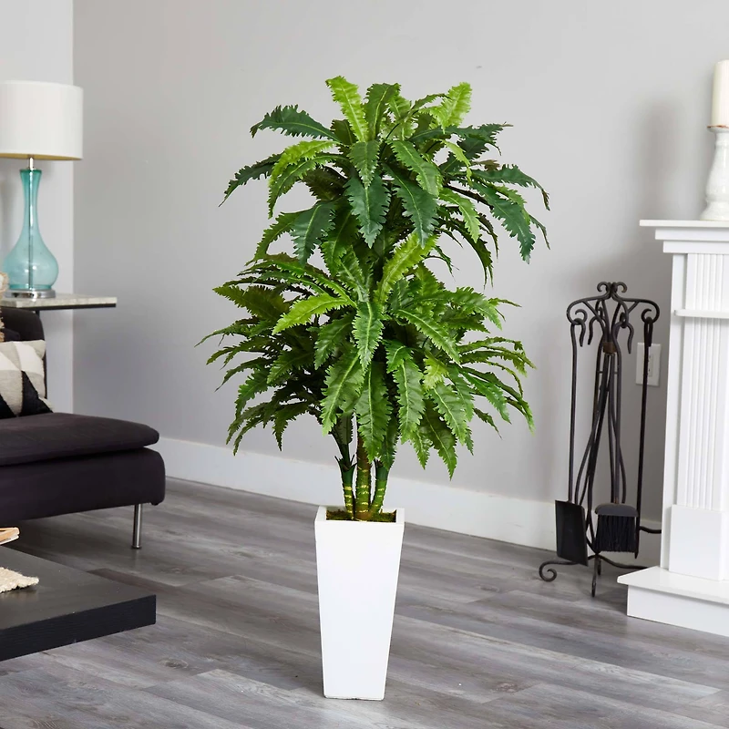 4ft. Marginatum in White Tower Vase