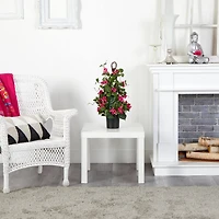 2ft. Potted Bougainvillea Climbing Plant