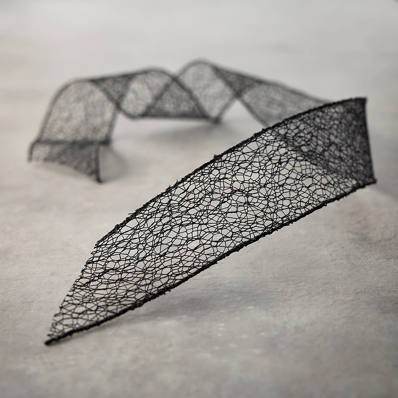 2" x 5yd. Web Wired Ribbon by Celebrate It™ Classic