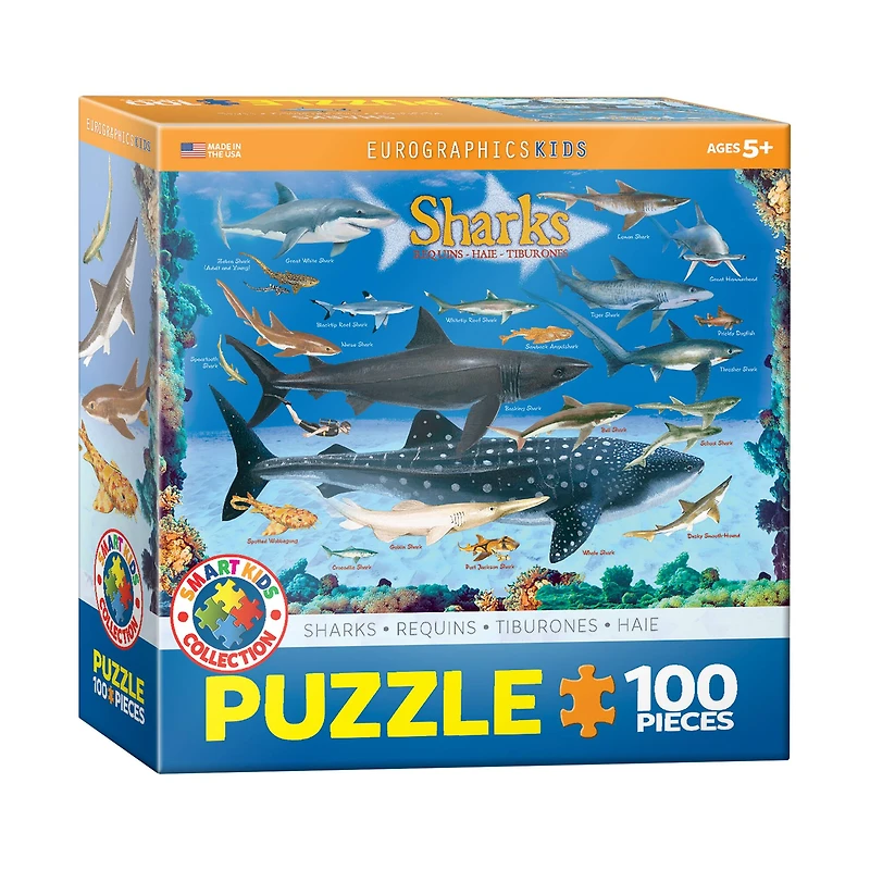 Smart Kids Collection - Sharks: 100 Pcs