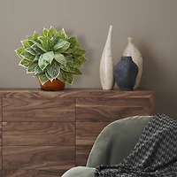 18" Chinese Evergreen Plant in Decorative Planter