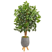 4ft. Ficus Tree in Gray Planter with Stand