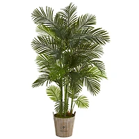 6.25ft. Areca Palm Tree in Farmhouse Planter