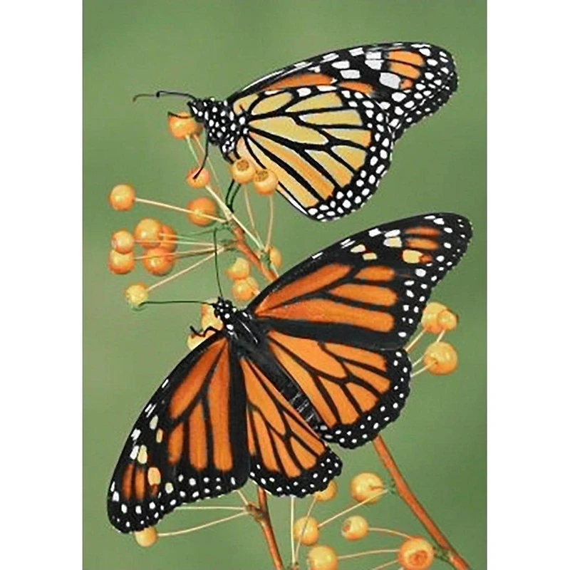 Wizardi Softness Diamond Painting Kit