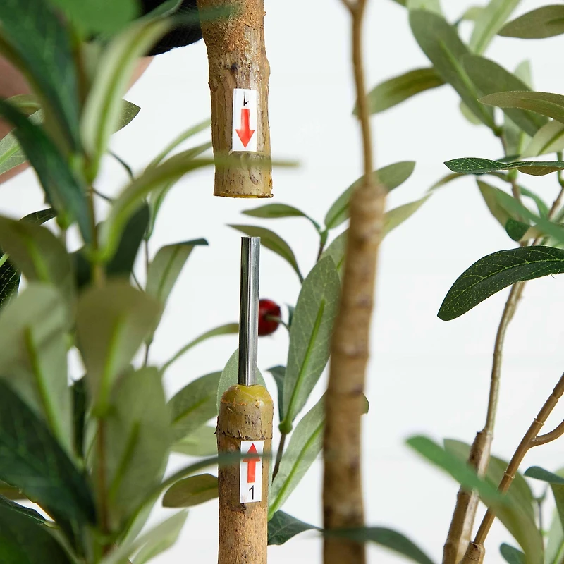 6ft. Potted Artificial Olive Tree with Natural Trunk