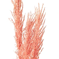 6 Pack: Peach Pampas Grass Stem by Ashland®