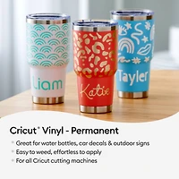 Cricut® Permanent Vinyl, Everything Sampler