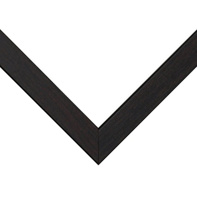 Frame USA TRUE Depth Brown Single Image Picture Frame