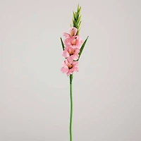 45" Pink Gladiolus Flower Stems, 3ct.