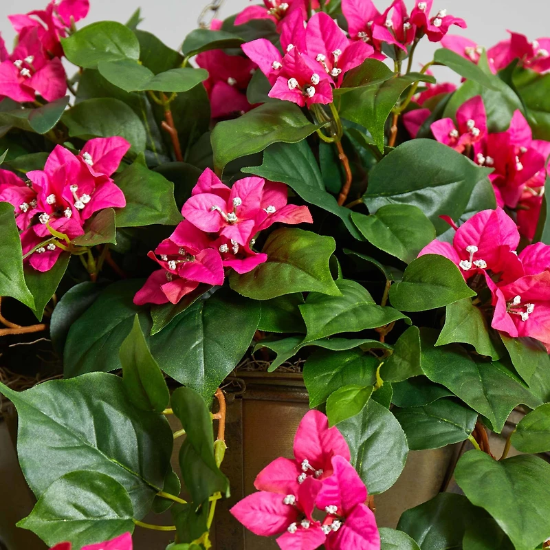3ft. Pink Bougainvillea in Hanging Metal Bowl
